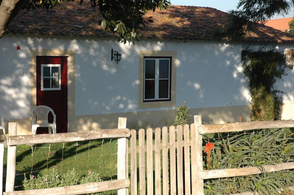 Casa Da Tia Guida Bed and Breakfast Golegã Buitenkant foto